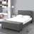 Schreffler Upholstered Metal Platform Storage Bed-369415522