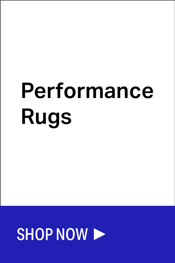 Save on Performance Rugs