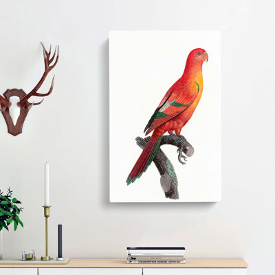 Crimson Shining Parrot by F. Levaillant - Wrapped Canvas