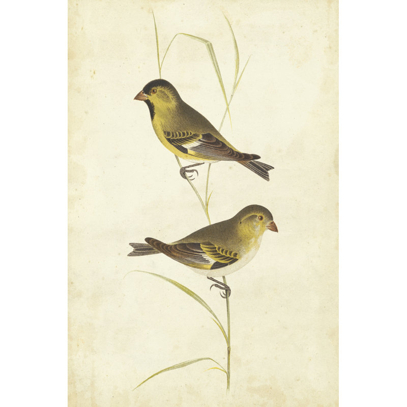 Goldfinch 1 Piece Wrapped Canvas Painting, 122cm H x 81cm W x 3.8cm D