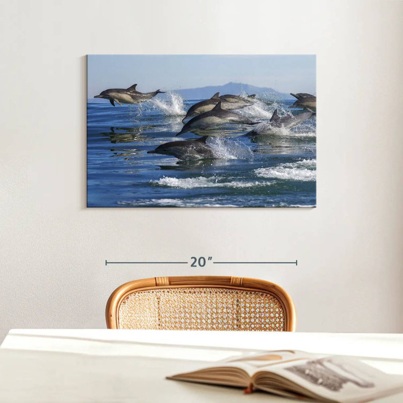 Crowle Dolphin Pod