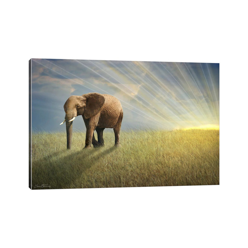 Walk With The Light by Ben Heine - Wrapped Canvas Painting, 101.6 cm H x 66.04 cm W