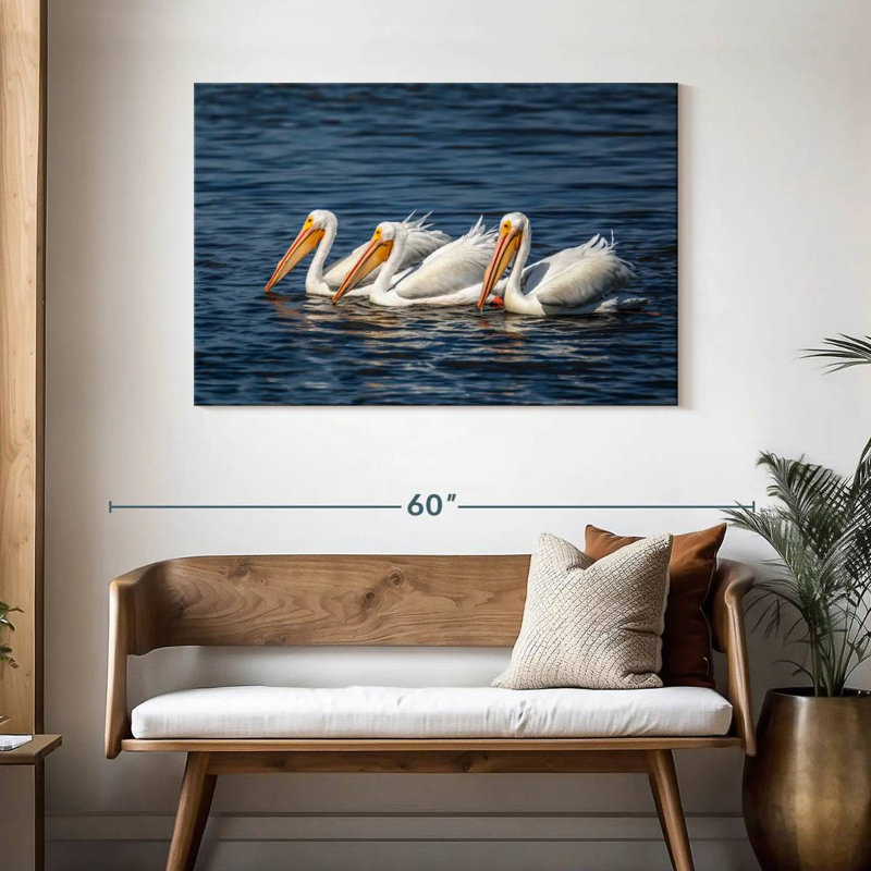 Bramic Ding Darling White Pelicans, H 30 po x l 45 po
