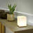 Alazah Delphine Rechargeable Wireless Table Lamp with Remote