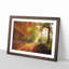 Autumn Forest - Picture Frame Painting Print-56633546-56633541