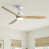 White with Light Yellow Wood  Blades