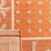 Lueck Performance Floral Indoor/Outdoor Area Rug