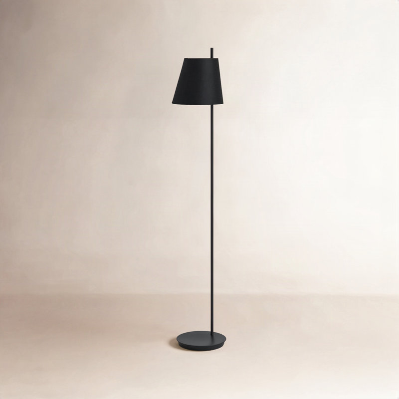 Phelps 59.33'' Black Task Floor Lamp