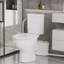 Système de toilette Upflush avec puissante pompe à macérateur 600 W, toilette macérante pour sous-sol