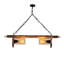 Luminaire suspendu unique à 2 lumières Henthorn