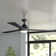 Carothers 72'' Ceiling Fan with LED Lights