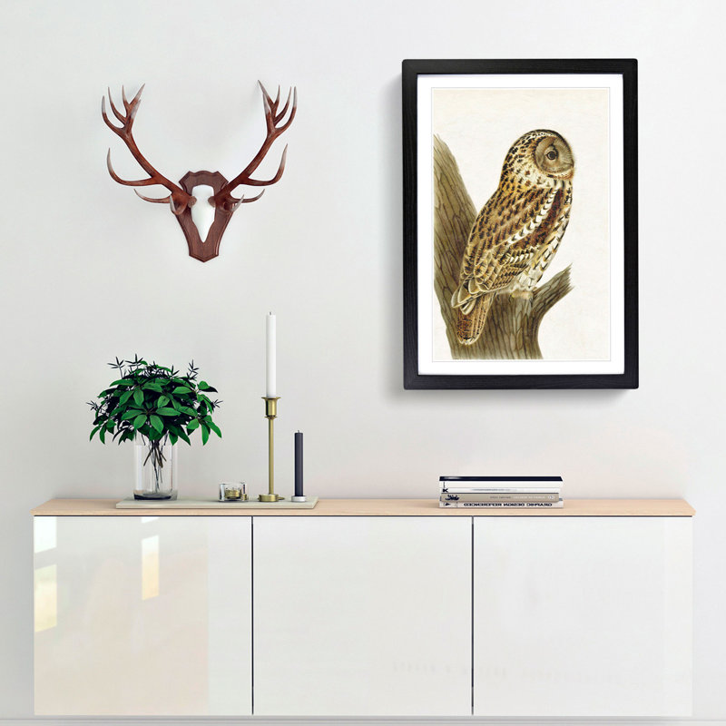 Tawny Owl by Von Wright - Picture Frame Art Print, 48cm H x 36cm W x 2cm D, Black Framed