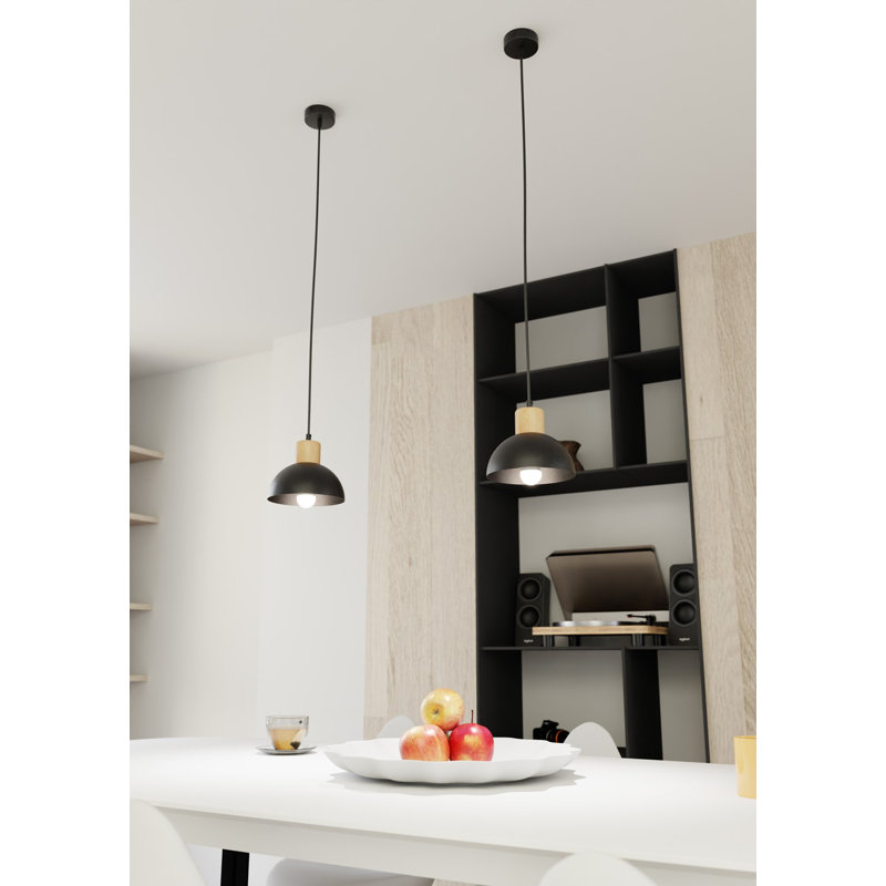 Aylesha 1 - Light Pendant, Matte Black
