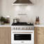 ZLINE 36" Paramount Dual Fuel White Matte Door Range w/ 6 Burners & Convection Oven (SDR-WM-36)-1520462043