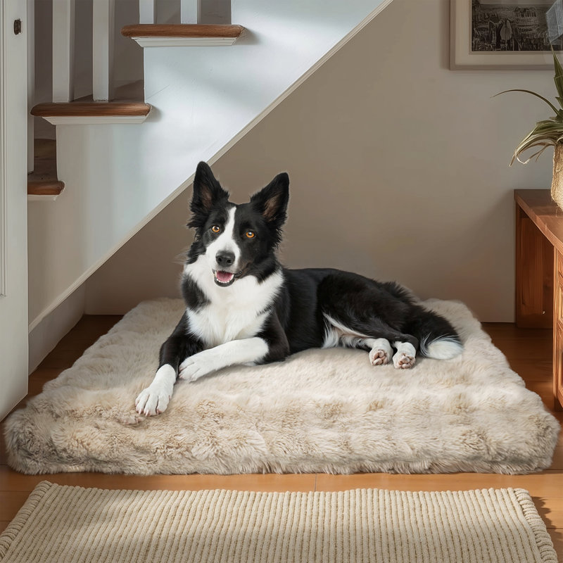 Dog Bed, Beige, 12cm H x 130cm W x 110cm D