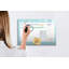 Magnetic Glass Dry Erase Board