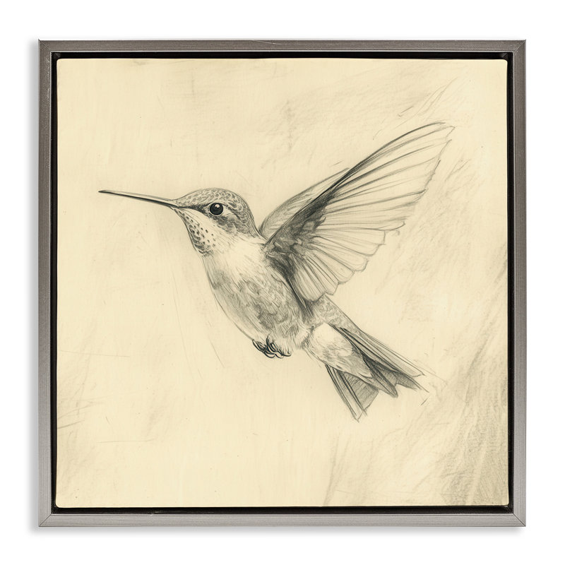 Cadre flottant rétro avec croquis de colibri, design par Petal Prints Design, H 18 po x l 18 po, Cadre flottant gris lustré