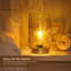 Adariaha Metal Table Lamp-536487341