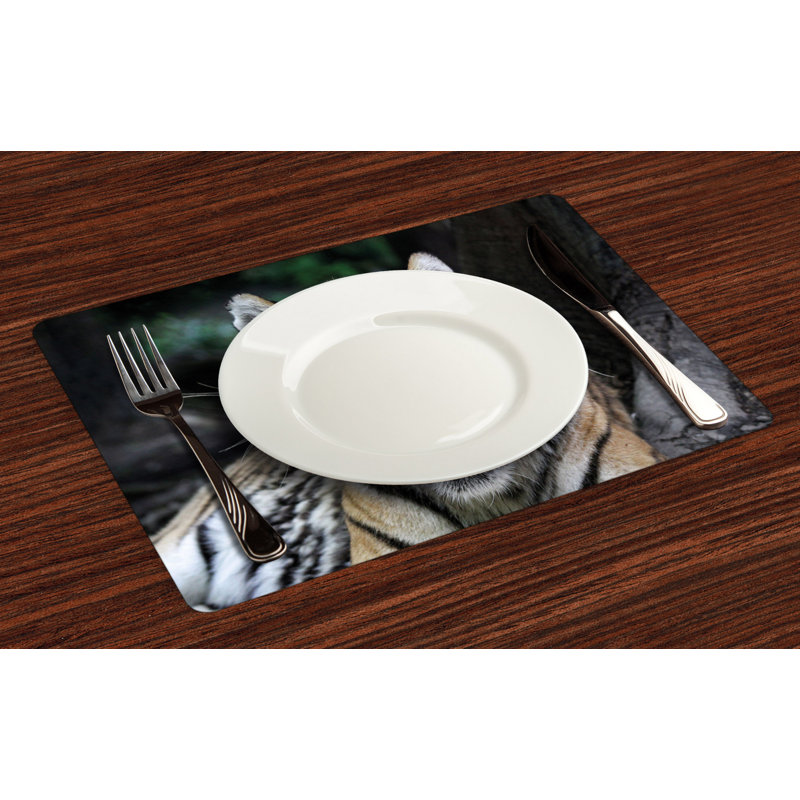 Récapitulatif 18,5" africain