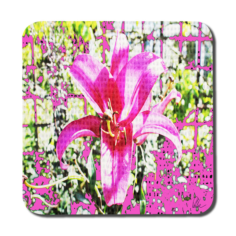 Square 6 Piece Coaster Set