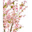 Artificial Plant CHERRY TREE Pink-172241886