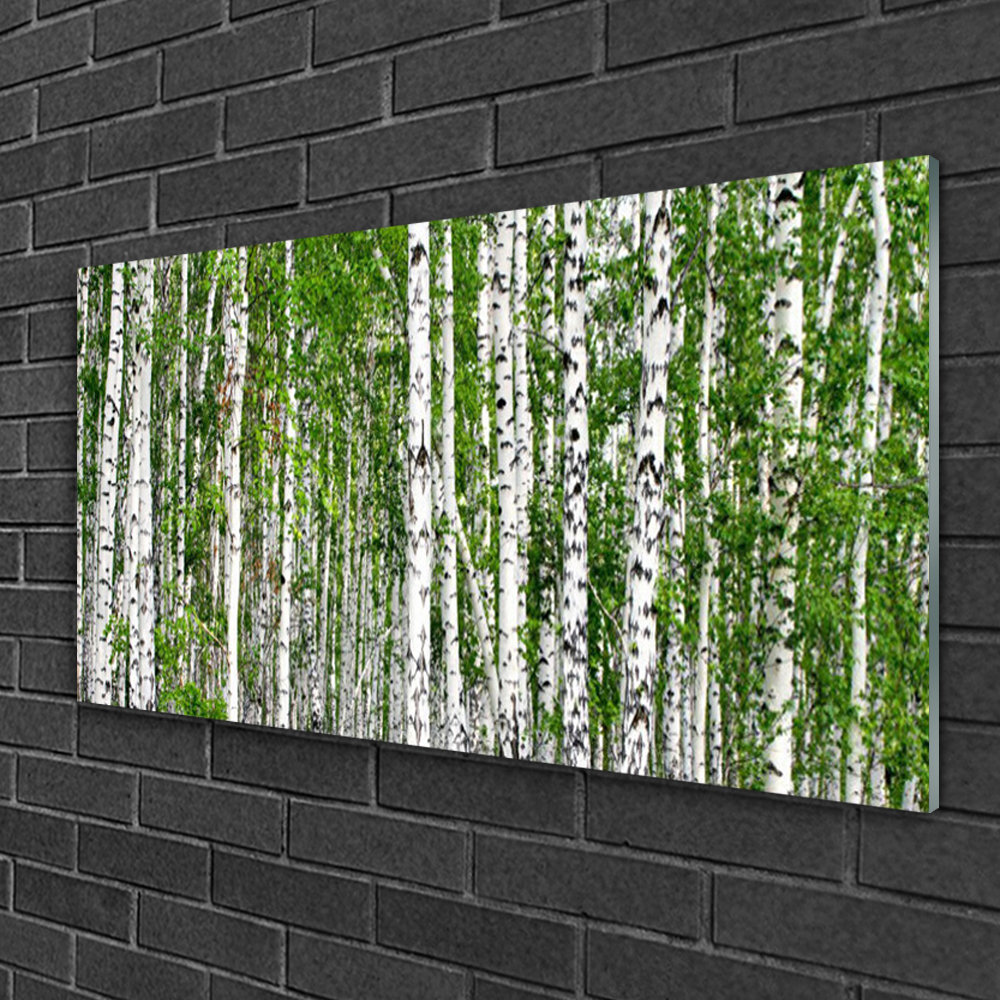 Glasbild Birch Forest Trees