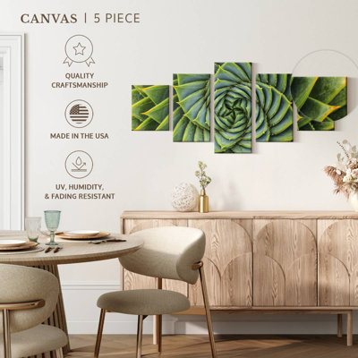 Plantes grasses en spirale