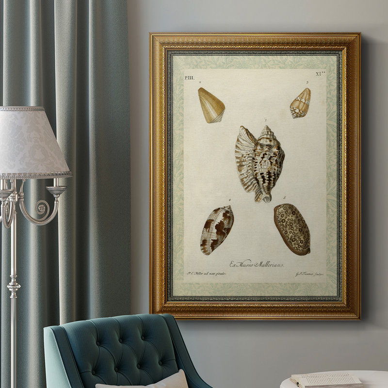 " Bookplate Shells II ", 18" W x 27" H