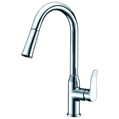 Dawn USA Pull Out Kitchen Faucet
