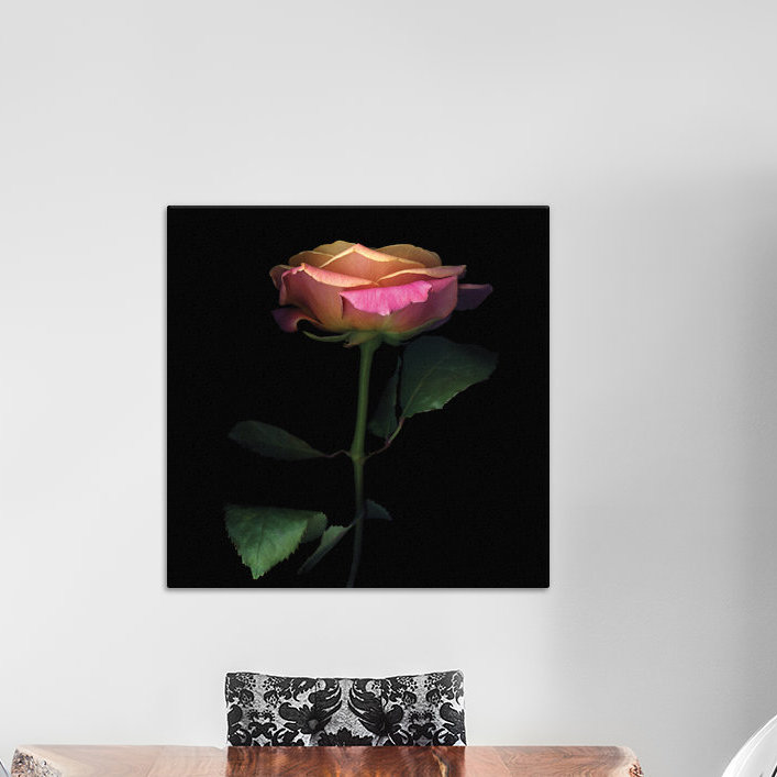 The Glowing Rose, reproduction de photo sur toile tendue, H 26 po x l 26 po x P 1,5 po, Toile avec cadre noir, Pas de tapis