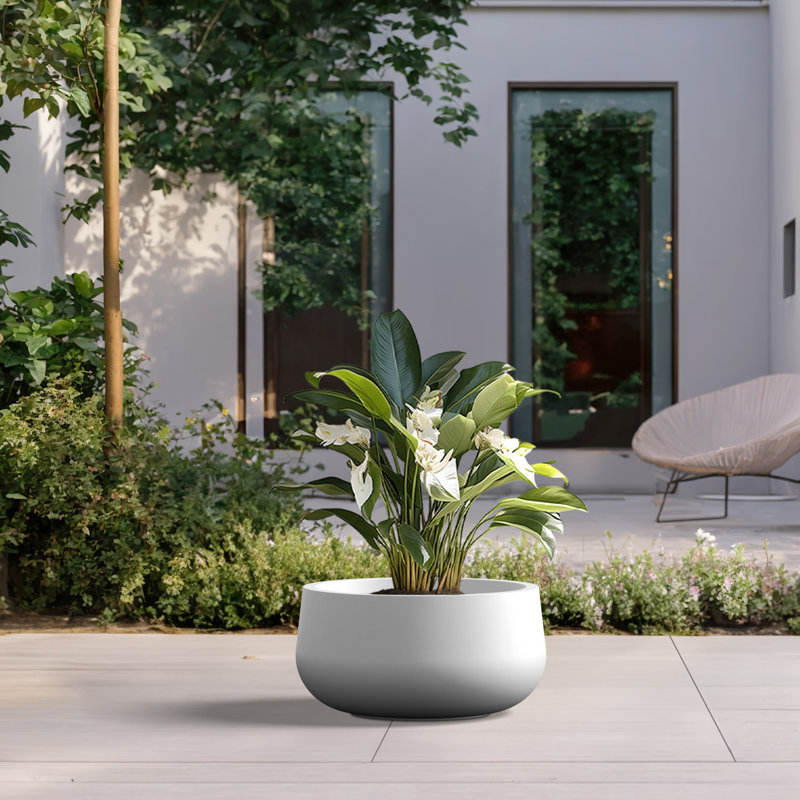 Pot à fleurs en béton Renfrew, H 10 po x l 19 po x P 19 po, Blanc éclatant