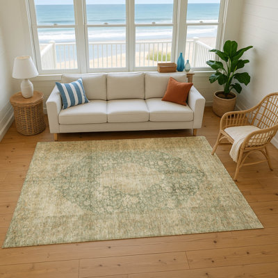 Premium Machine Washable Honig AMF1657 Global Rug