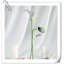 Arrangement Lillies-623490076-623490070