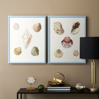 «Pastel Knorr Shells», reproduction encadrée de qualité supérieure - prête à être accrochée - aucun clou requis - aucun clou requis