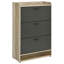 Kyla Grey 3-tier Engineered Wood Shoe Cabinet