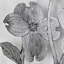 Dogwood I