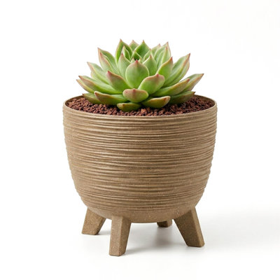 Pot Planter