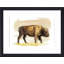 «Bison S croquis I» par Grace Popp - peinture encadrée-684181103-778907001