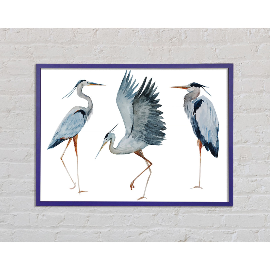 Heron Trio Gerahmter Druck Wandkunst