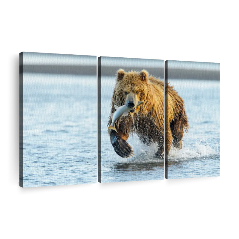 «Grizzly Bear With Salmon» sur toile, H 24 po x l 38 po