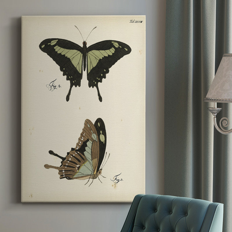 «Butterfly Profile II», impression sur toile tendue, H 27 po x l 16 po x P 1,5 po