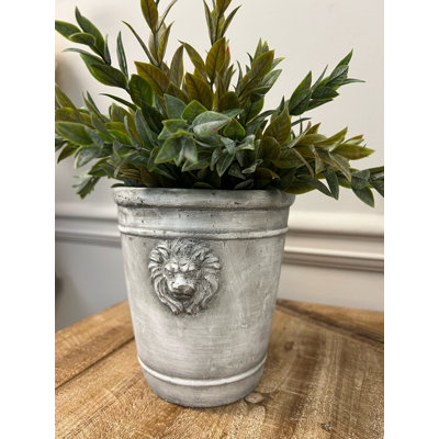 Lion Head Concrete Pot Planter