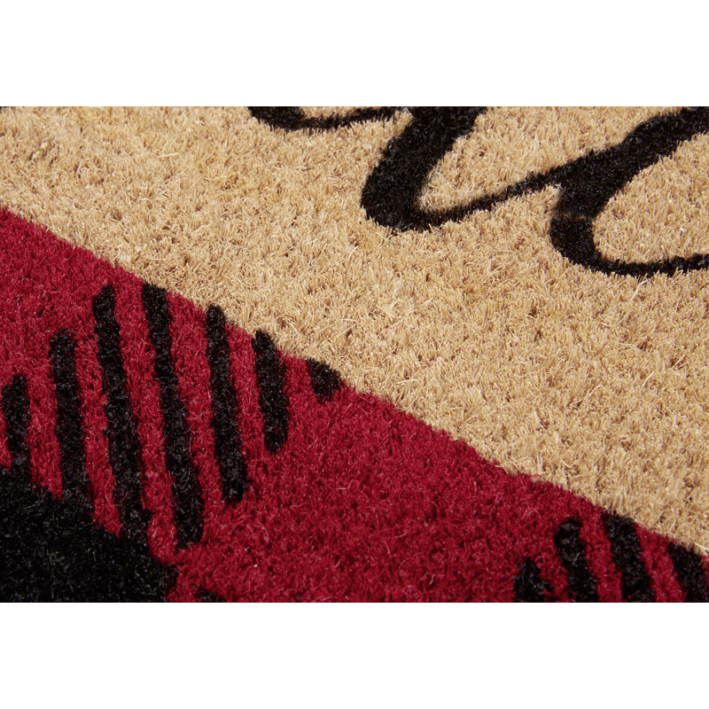 45 W x 70 L cm Non-Slip Indoor Outdoor Door Mat