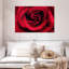 Gouttelettes sur une rose rouge-858553174