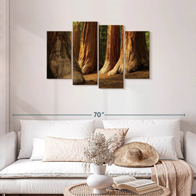 Ancient Sequoia Trees