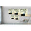 «green "still life v" , peinture-35569106-35569107