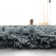 Morrell Shag Hand Tufted Performance Solid Color Rug