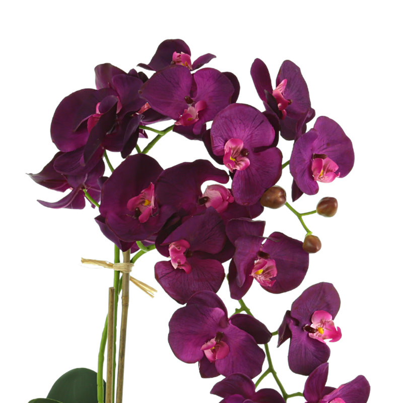 Arrangement floral orchidée en pot
