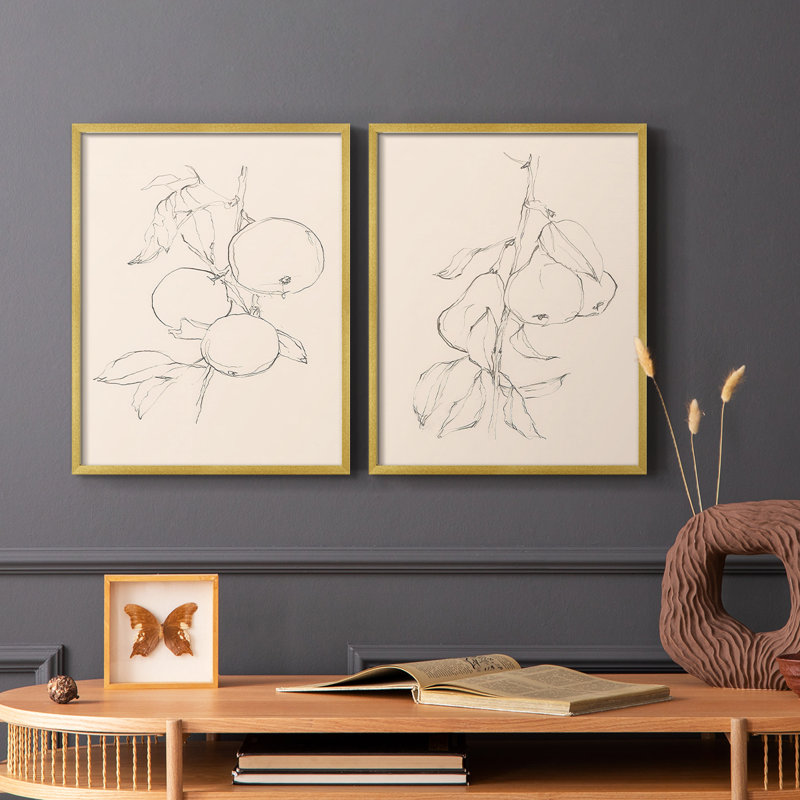 «Fruit Contour Study I», reproduction encadrée de qualité supérieure - prête à être accrochée - aucun clou requis - aucun clou requis