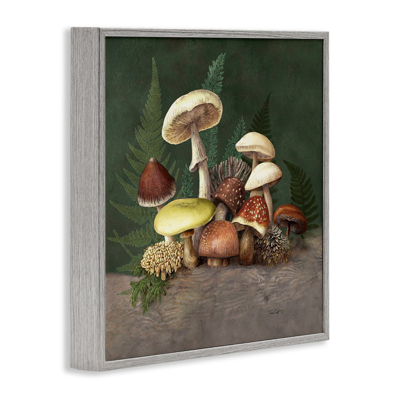 Estampe numérique champignon et fougère, design par Tim Coffey, Estampe numérique Farmhouse, H 12 po x l 12 po